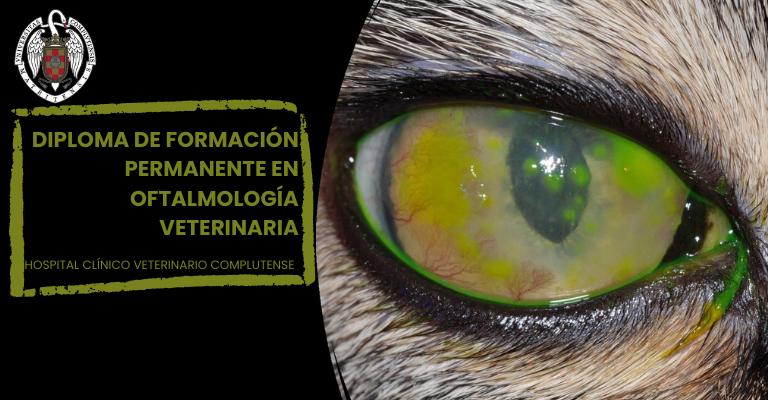 Diploma de Formación Permanente en Oftalmología Veterinaria de la Universidad Complutense de Madrid